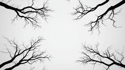 Obraz premium Abstract Black Tree Branches on White Background