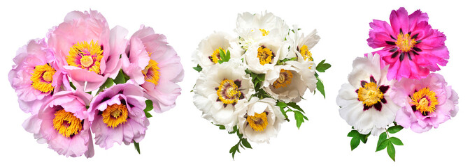 Collection peony bouquet isolated on white background. Beautiful spring flowers. Flat lay, top view