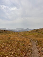 Fototapeta premium Smokey hike 