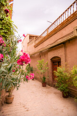 Naklejka premium Oleander flowers on the streets of the red city of Kashgar, Xinjiang, China