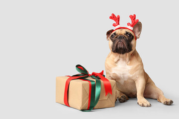 Cute French bulldog in reindeer horns with gift box on grey background. Christmas celebration