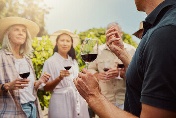 Vineyard, people and learning as friends with wine glass for tasting, drinking and break in France....