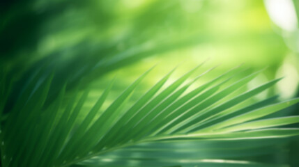 Obraz premium Sunlight filters through the leaves, casting a soft, diffused glow on the vibrant green foliage, enhancing the serene atmosphere in the lush forest, blurred image, copy space