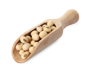 Scoop with soy beans isolated on white