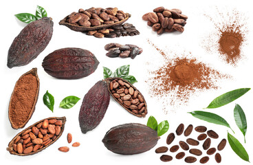 Cocoa powder, pods, beans and green leaves isolated on white