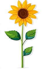 Fototapeta premium Bright yellow sunflower with green leaves against a white background, symbolizing warmth and positivity.
