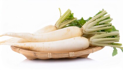 Daikon radish on white background. Daikon radish Isolated.
