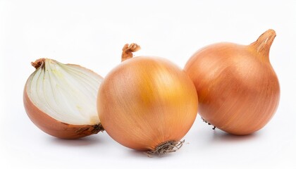 Onion on white background. Onion Isolated.