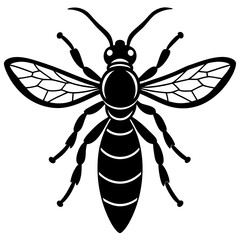 Mud Dauber Wasp: Nature’s Unique Architect in Macro Detail