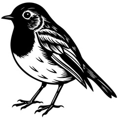 Bright Red Robin in Nature – Iconic Bird Photography