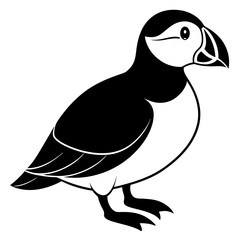 Fototapeta premium Charming Vector Illustrations of Puffins for Nature Enthusiasts