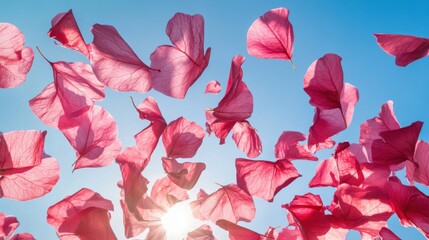Bougainvillea petals in various shades of pink, soaring through the air on a sunny day