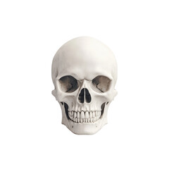 Realistic human skull model on black background