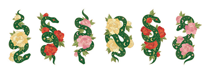 Set of Chinese New Year symbols. Green snakes with lunar patterns and peonies. Traditional Chinese lunar symbols with flowers. Isolated on white background.