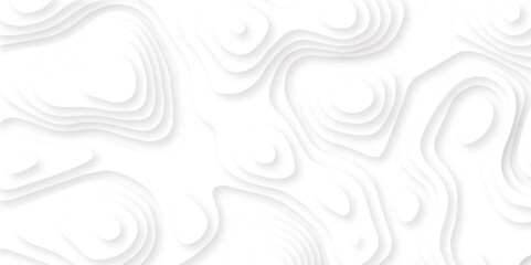 Abstract paper cut white background. Topographic canyon map light relief texture, curved layers and shadow. Paper topography pattern art 3d vector