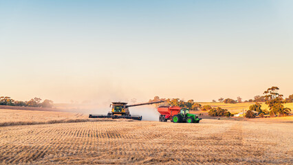Wheat harvesting combine at work in the field offloading grain into following trailer, Barossa...