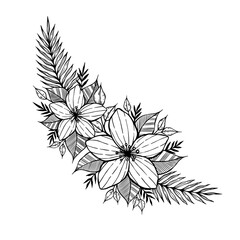 hand draw flower for border or frame design