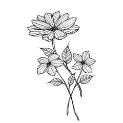hand drawing flower with leaves. beautiful flower sketch illustration
