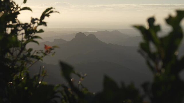 Mount Warning Australia nature Springbrook National Park nature landscape