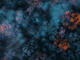 Obraz premium Capture a mesmerizing aerial view of a mystical forest, blending magical realism elements in a minimalist design, showcasing vibrant hues and intricate details