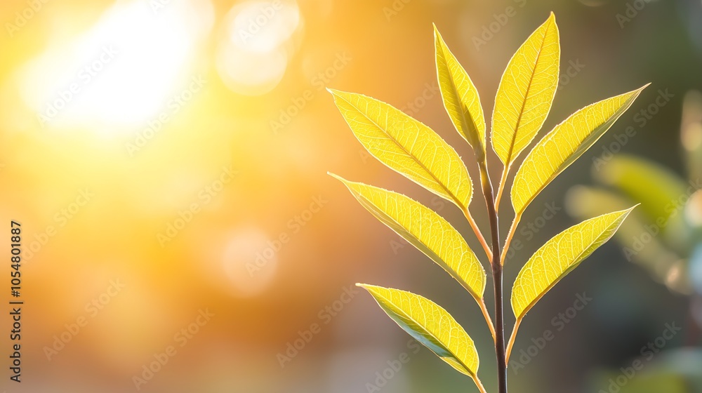 Aufkleber Sunlit Leaf Against Blurred Golden Background in Tranquil Setting : Generative AI