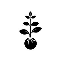 Sprouting Plant Icon