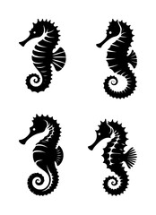 vector set silhouette of seahorses (black)