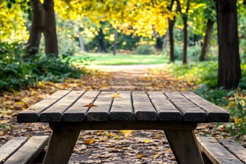 Naklejka premium Wooden Picnic Table in a Sunlit Forest Clearing Set Amid Autumn's Golden Leafy Display : Generative AI