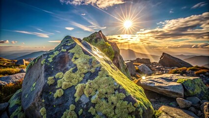 Naklejka premium A Moss-Covered Boulder Bathed in Golden Sunlight, a Majestic Mountain Range Stretching Out in the Distance