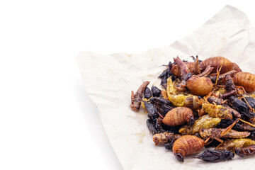 Deep fried insect a very popular snack street food of Thai. Pile of mixed fried insects season with soy sauce and ground pepper on food paper isolated on white background and copy space.