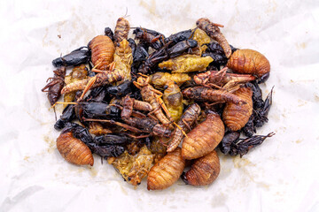 Deep fried insect a very popular snack street food in Thailand. Pile of mixed fried insects season with soy sauce and ground pepper on food paper background.