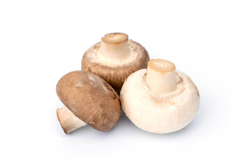 Group of white and brown whole fresh champignon mushroom isolated on white background.