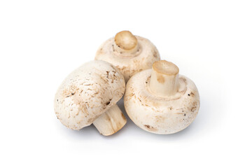 Whole fresh white champignon mushroom isolated on white background.