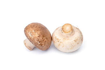 White and brown whole fresh champignon mushroom isolated on white background.