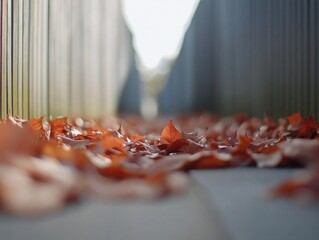 Autumn Leaves on Wooden Fence Pathway