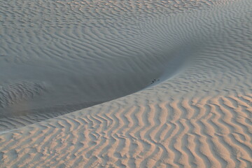 sand ripples in the sand