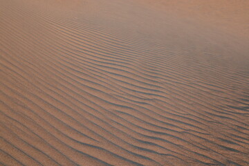 Obraz premium sand ripples in the desert