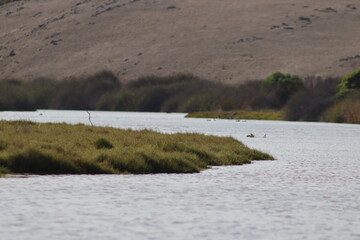 river in the mountains