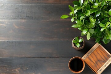 Top View of Minimalist Office Desk with Green Plants and Coffee on Dark Wood Surface : Generative AI