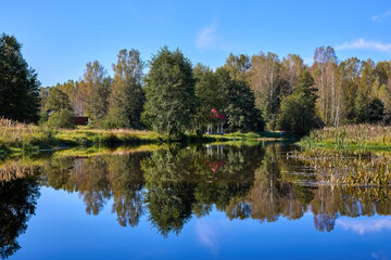 Tranquil Waterfront Gazebo on Sunny Day