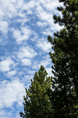 Obraz premium sky and clouds