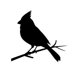 Cardinal silhouette bird on a branch of a tree