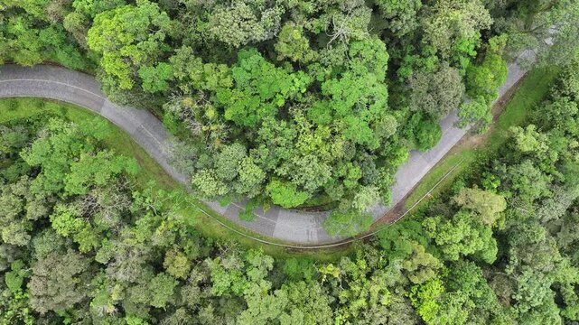 Estrada Da Graciosa At Morretes Parana Brazil. Urban Life Landscape Of Freeway Road Connecting City Streets. Nature Dramatic Sky Sky Forest. Nature Agro Rural Panorama. Morretes Parana.
