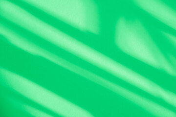 Wall interior background, studio and backdrops show products. with leaf shadow from window color green and white. background for text insertion and presentation of product	