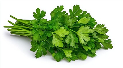 A photostock of a bushel of fresh herbs on a white background, aromatic and green.