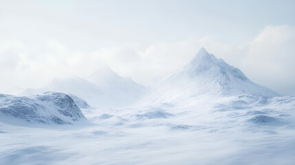 Obraz premium Roll up banner stand isolated on white background