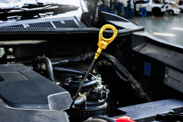 Car engine oil dipstick , car engine oil dipstick is pulled up to check the engine oil level , car...