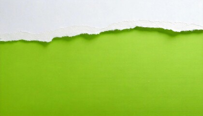 緑 白 シンプル 紙 破れ テクスチャー デザイン ミニマル クリーン レイヤー コントラスト 背景 ソフト 質感 クローズアップ カジュアル フレッシュ アート 自然 トーン