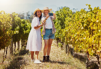 Women, friends and happy at vineyard with selfie for bonding, social media and profile picture in...