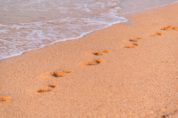 beach, wave and footprints at sunset. lonely footprint of one person on the seashore